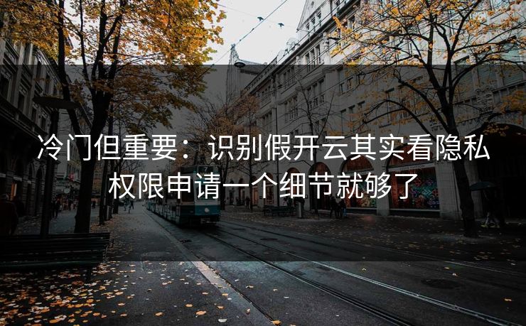 冷门但重要：识别假开云其实看隐私权限申请一个细节就够了